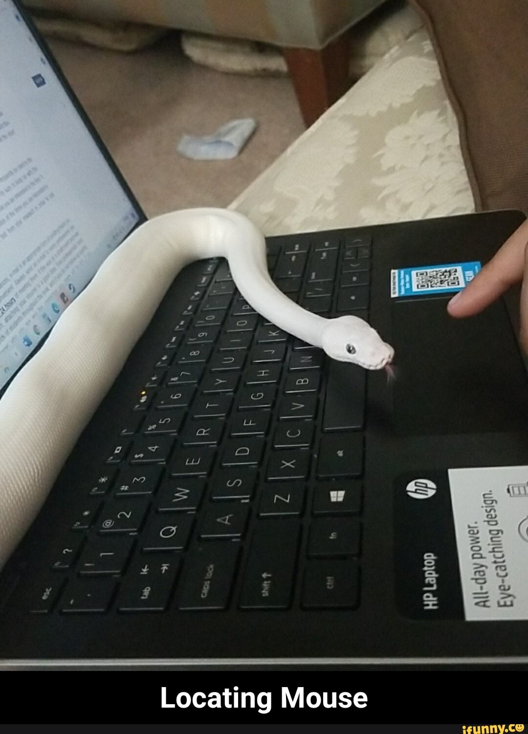 Locating Mouse - Locating Mouse
