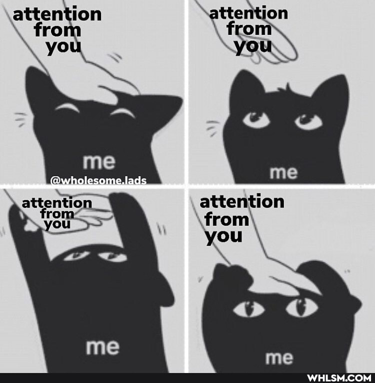 fro ion thet jon fro you
attention
me