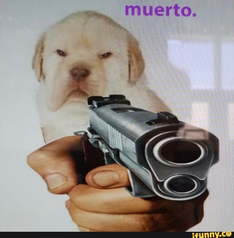 muerto, dog, pupper, doggo, dank, quieres, ifunnytop, ifunncleanup, alternatefeatures, dankmeme, deletthis