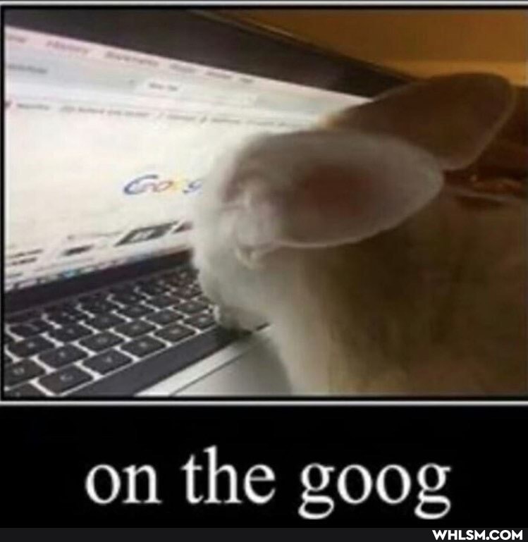 on the goog