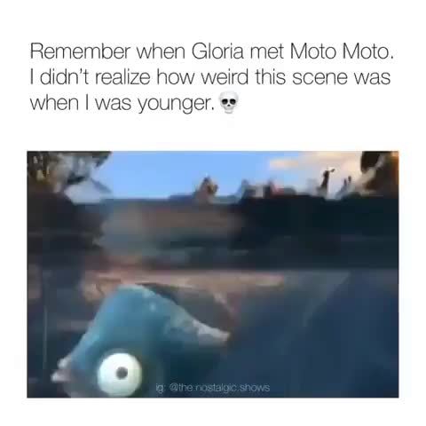 Remember When Gloria Met Moto Moto I Didn T Reaﬂze How Weird This Scene Was When I Was Younger Ifunny