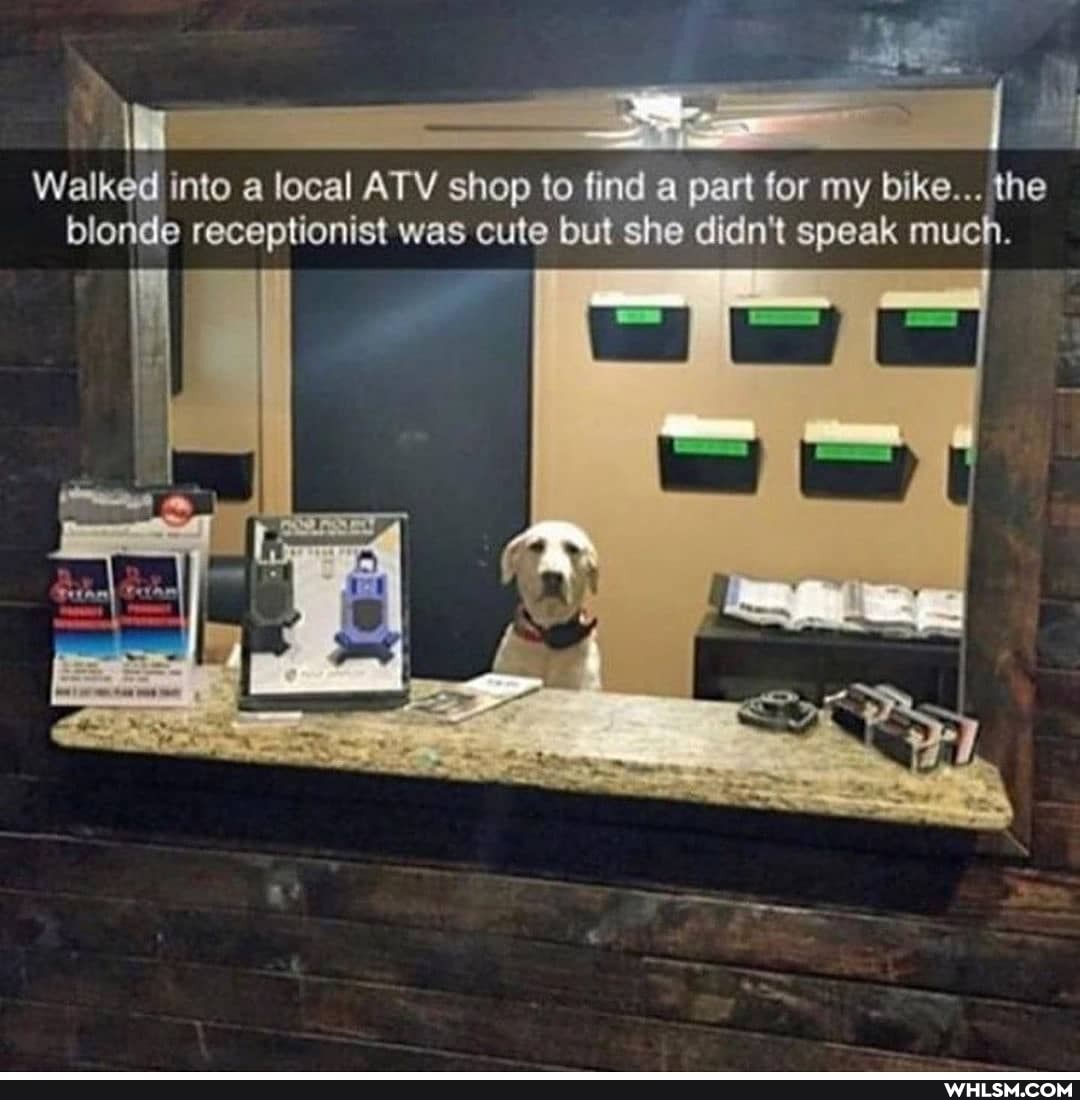 if
Walked into a local ATV shop to find a part for my bike... the blonde receptionist was cute but she didn't speak much.