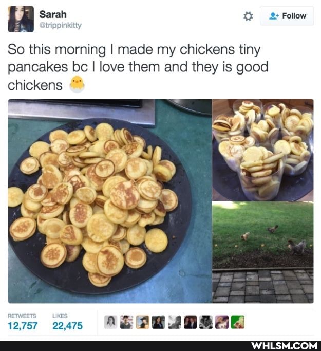 Sarah
Fallow
So this morning I made my chickens tiny pancakes bc I love them and they is good chickens
io757 2475 ASS RRMMESBB
