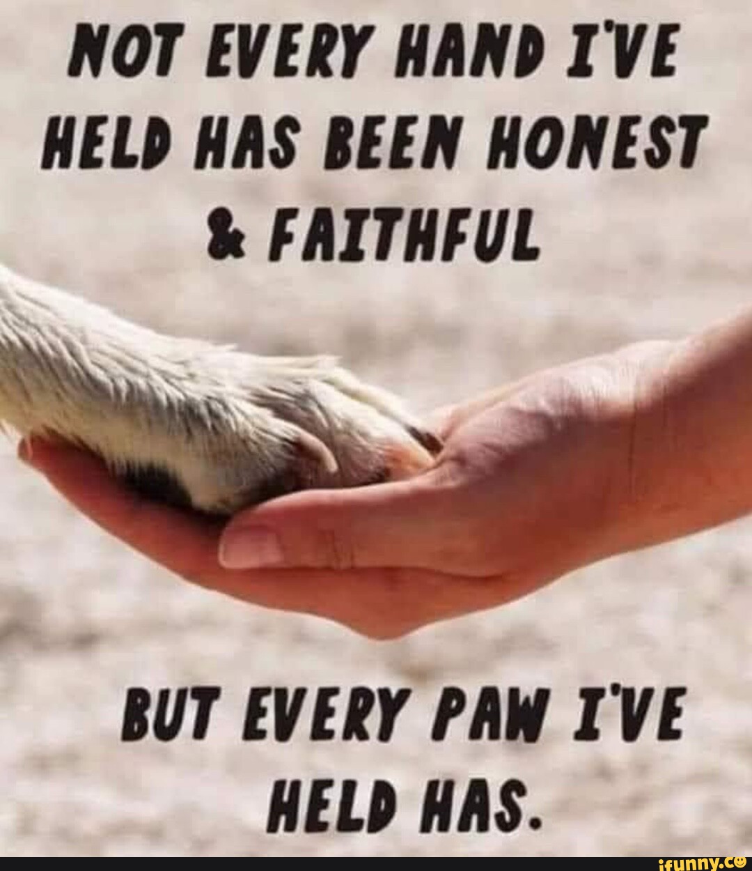 NOT EVERY HAND IVE HELD HAS BEEN HONEST & FAITHFUL BUT EVERY PAW I'VE ...