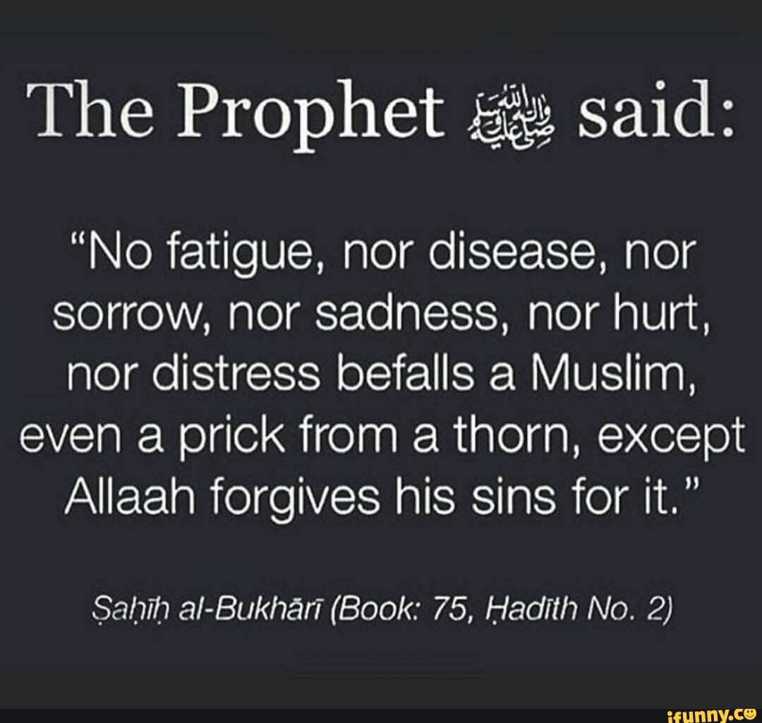 The Prophet said: 