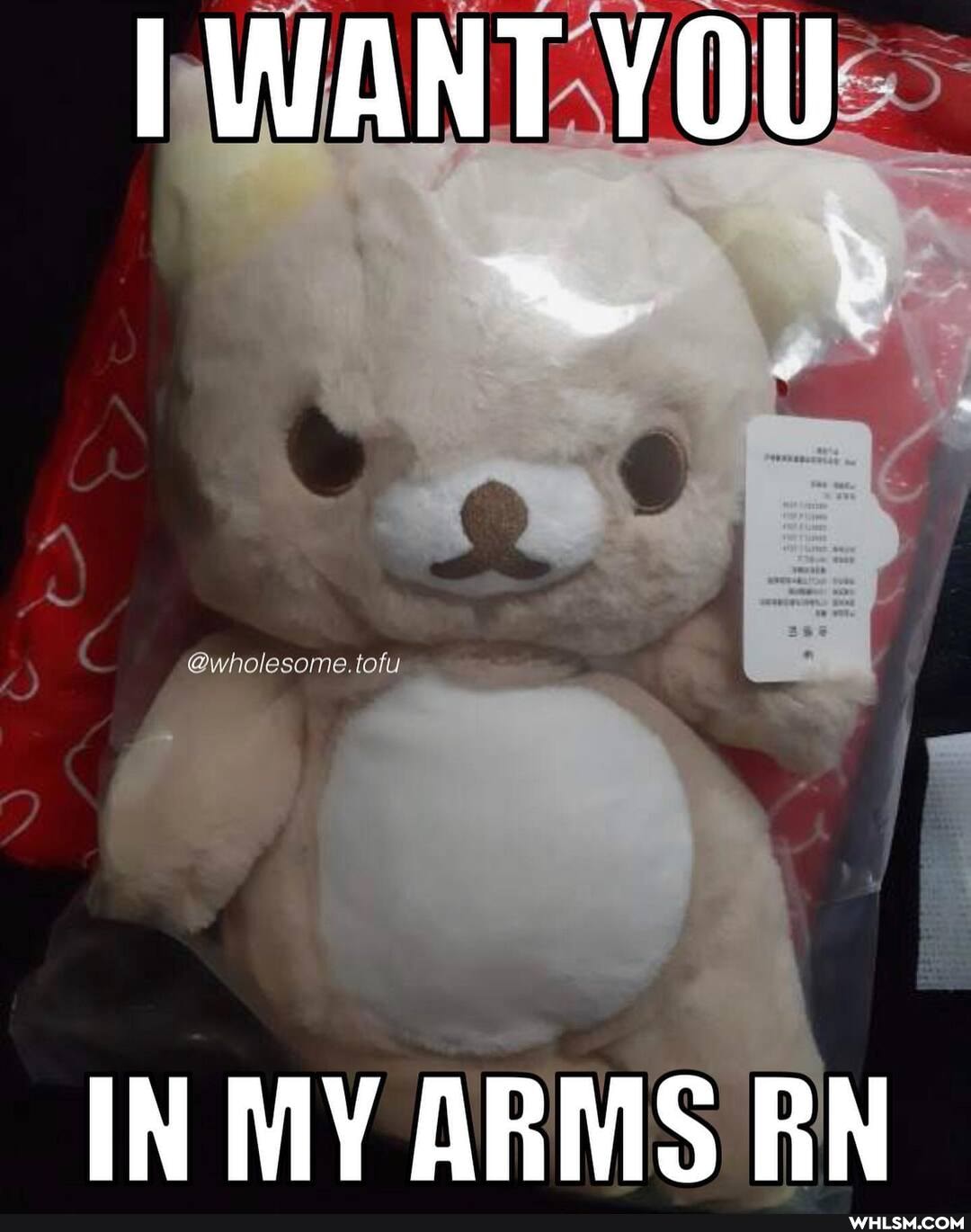 I WANT YOU
IN MY ARMS RN