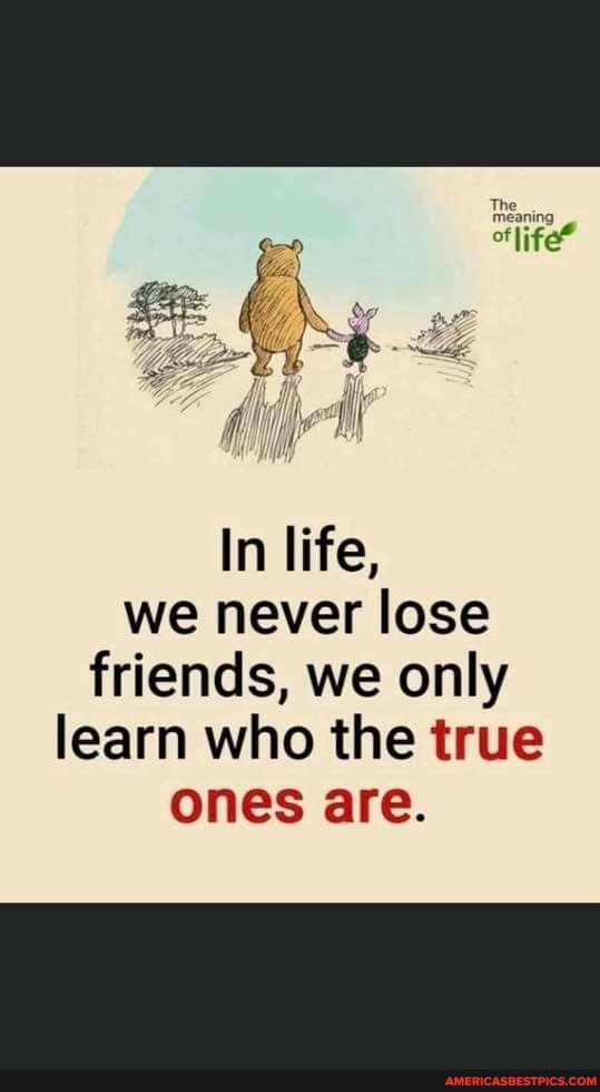 "life fo ft
In life, we never lose friends, we only learn who the true ones are.