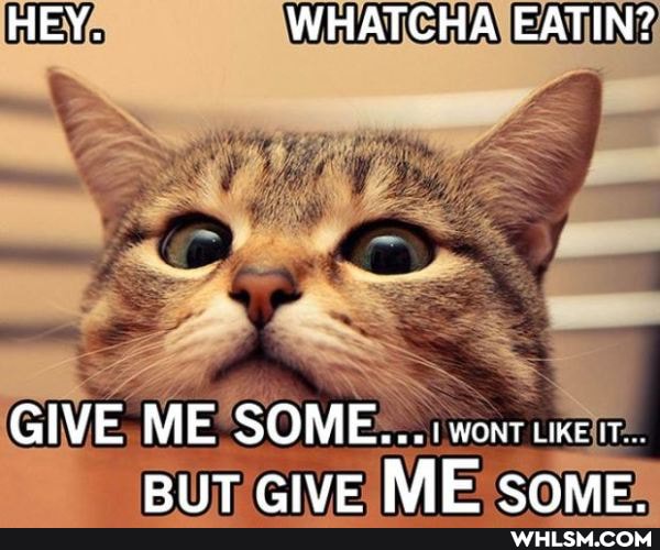 HEY. WHATCHA EATIN?
GIVE ME SOME... wort it cive ME cone