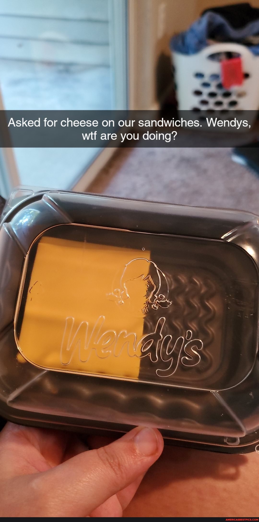 Asked for cheese on our sandwiches. Wendys, wtf are you doing?