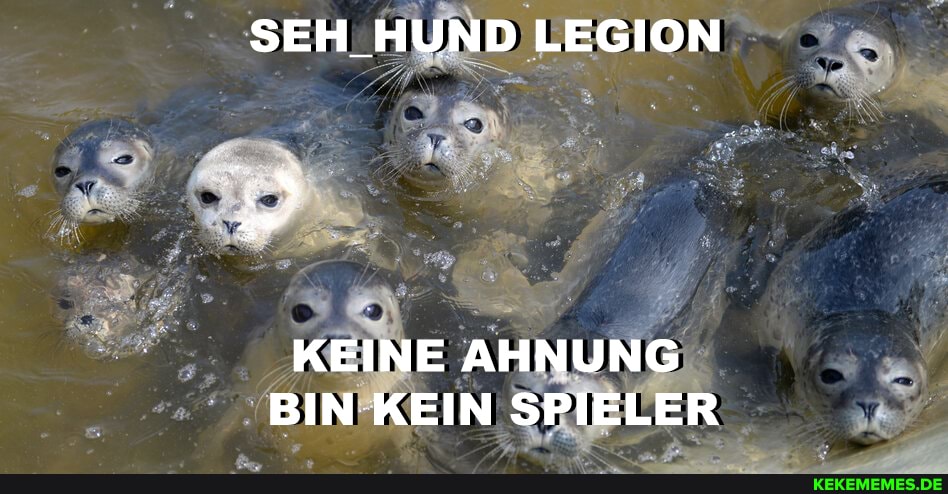 SEH_HUND LEGION
KEINE AHNUNG BIN KEIN SPIELER