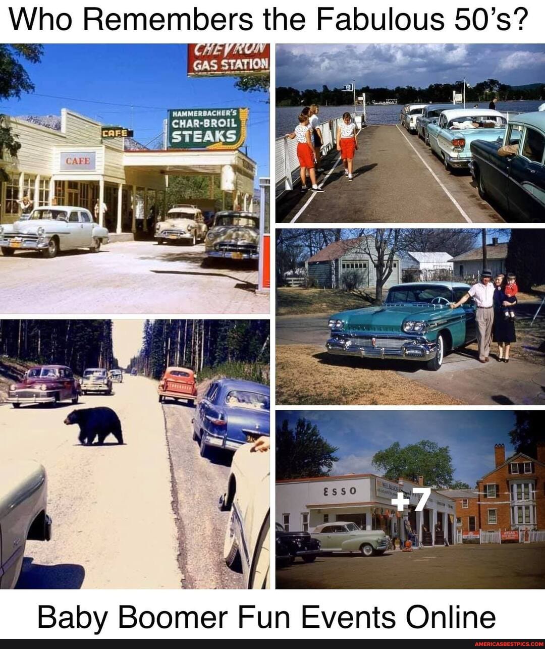 Who Remembers the Fabulous 50's?
HAMMERBACHER'S
CHAR-BROIL
47
y /
Babv Boomer Fun Events Online