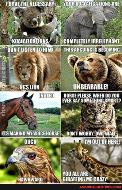 THAWE THE NECESSARY CATIONS ARE
> '
KOALAICATIONS COMPLETELY (RRELEPHART DONT LISTEN THIS ARGUING IS
HES LIOW UNBEARABLE!
HORSE PLEASE WHEN BO YOU
MORIKE VOIDE ROES ONWT WORK GIYE MEAIT
OS cur oF
ALL ARE