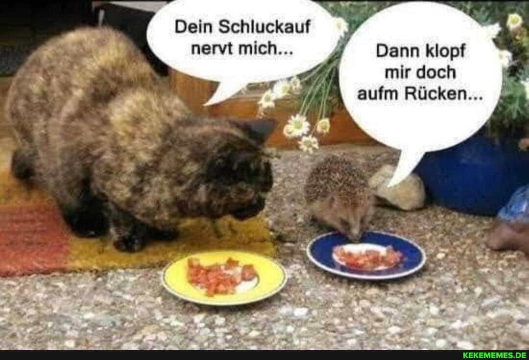 Dein Schluckauf nervt mich... Dann klopf mir doch
aufm Rücken...