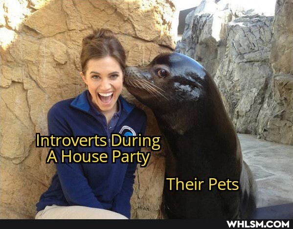 Introverts iDaring
WA House Party,