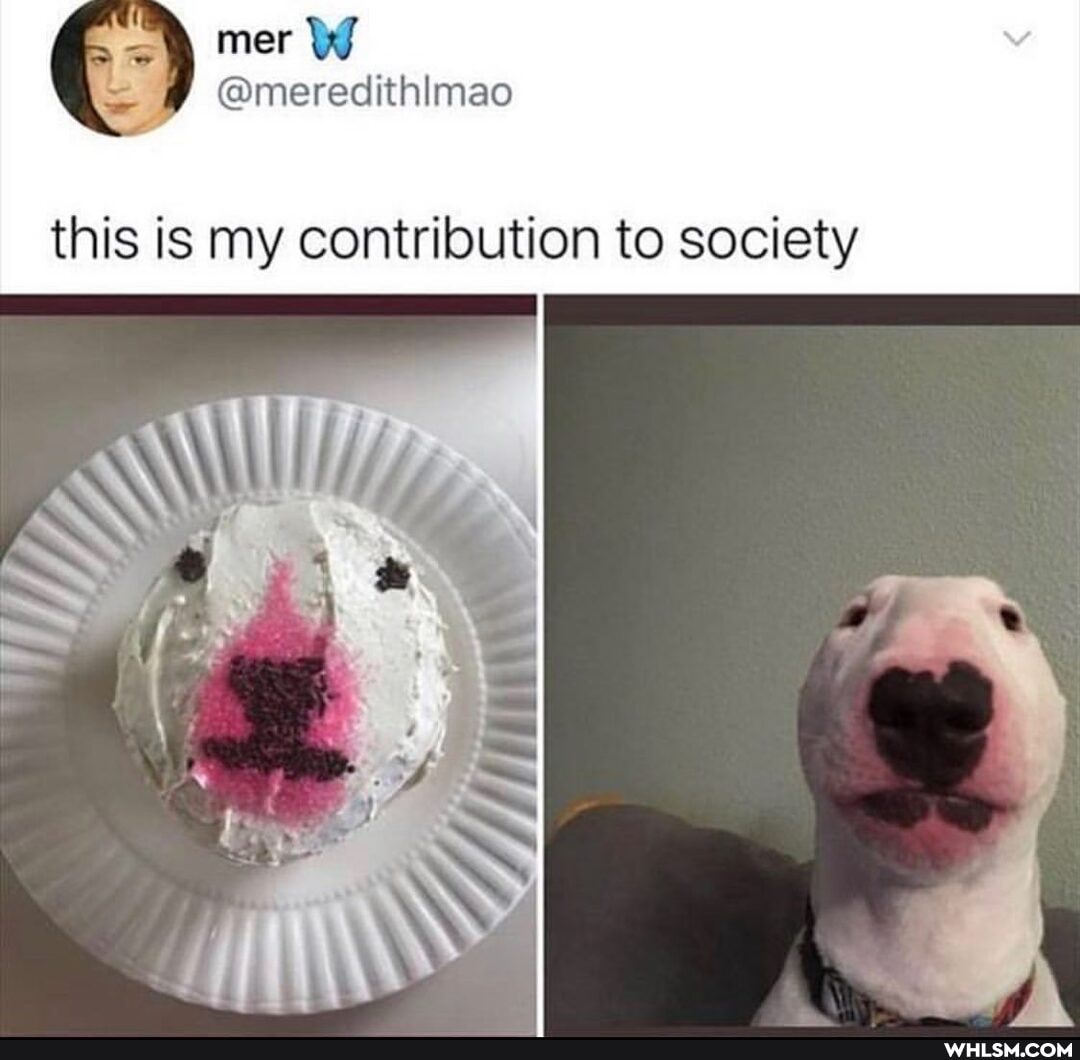 @meredithlmao
this is my contribution to society
