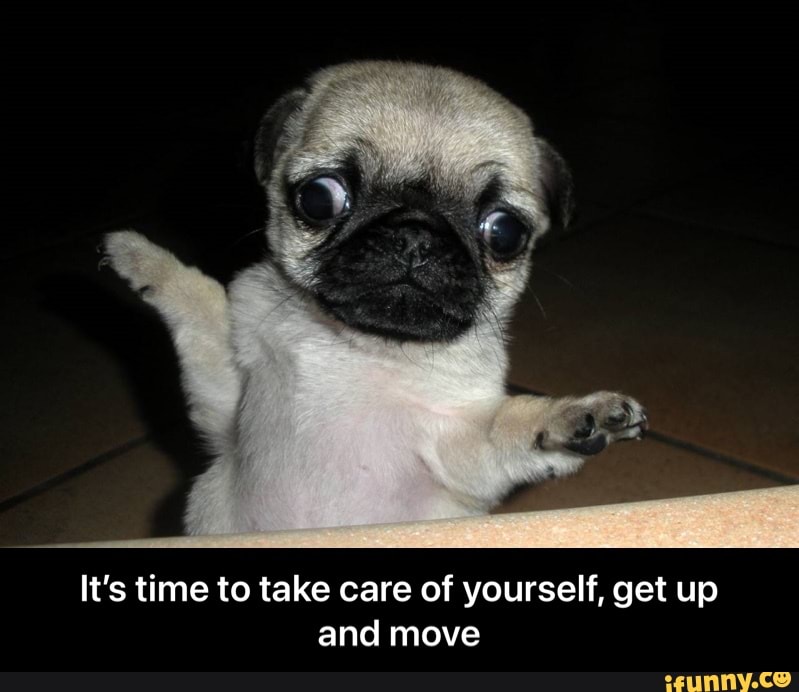 It S Time To Take Care Of Yourself Get Up And Move It S Time To Take Care Of Yourself Get Up And Move Ifunny