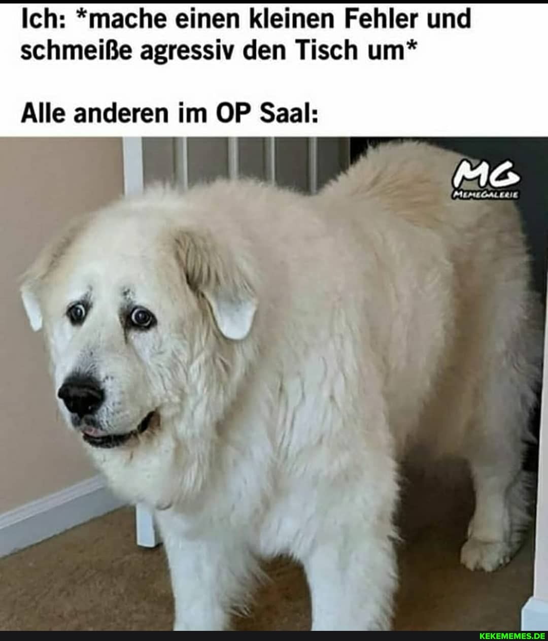 Ich: *mache einen kleinen Fehler und schmeiße agressiv den Tisch um*
Alle anderen im OP Saal: