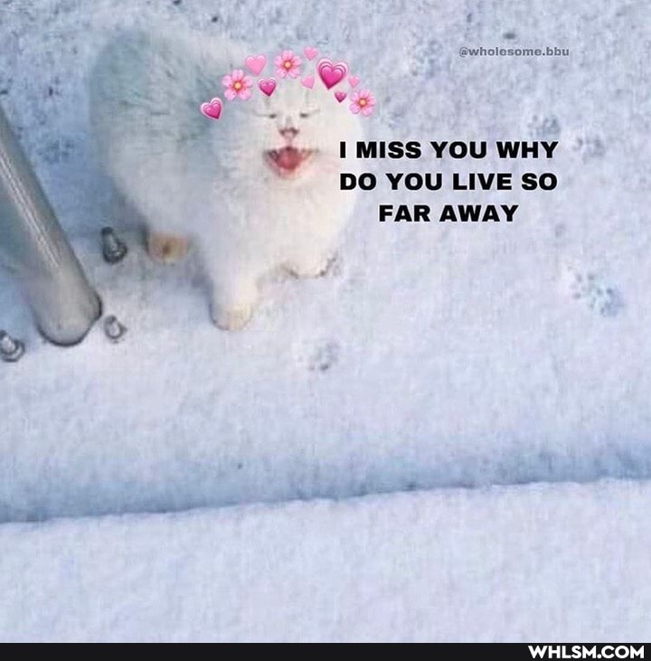 MISS YOU WHY DO YOU LIVE SO FAR AWAY
Ww