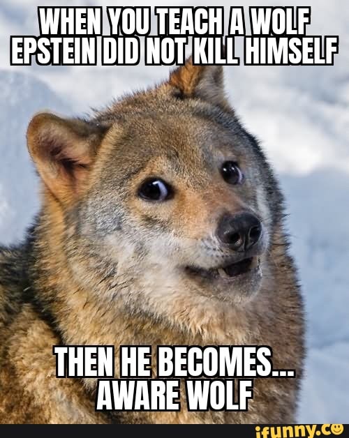 WHEN YOU TEACH A WOLF EPSTEIN DID-NOT KILL HIMSELF THEN HE BECOMES ...