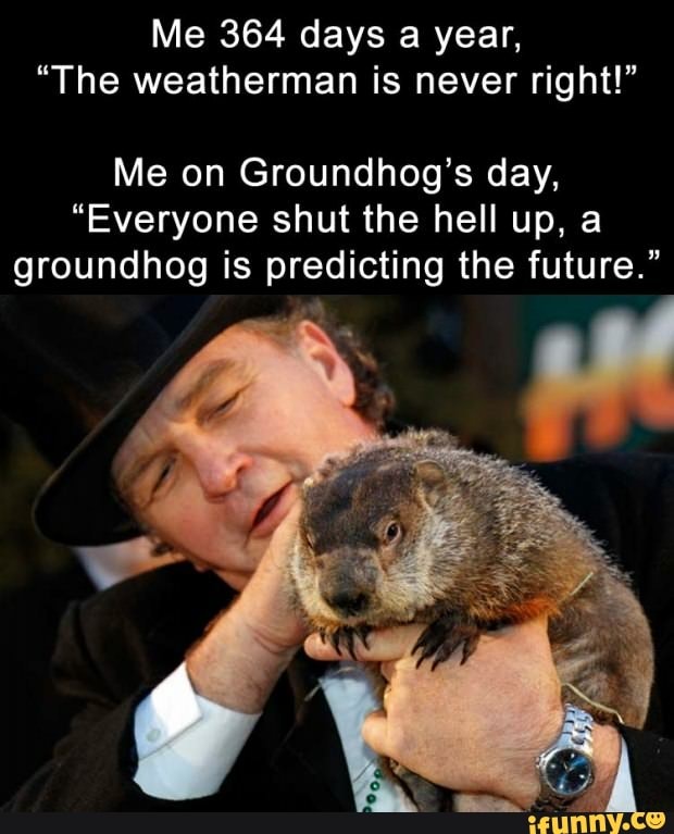 groundhog day weatherman