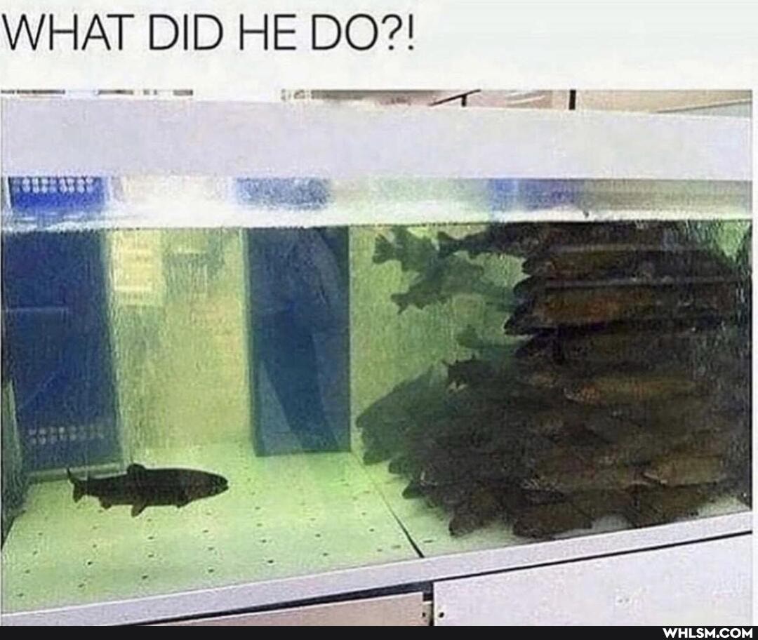 WHAT DID HE DO?!
