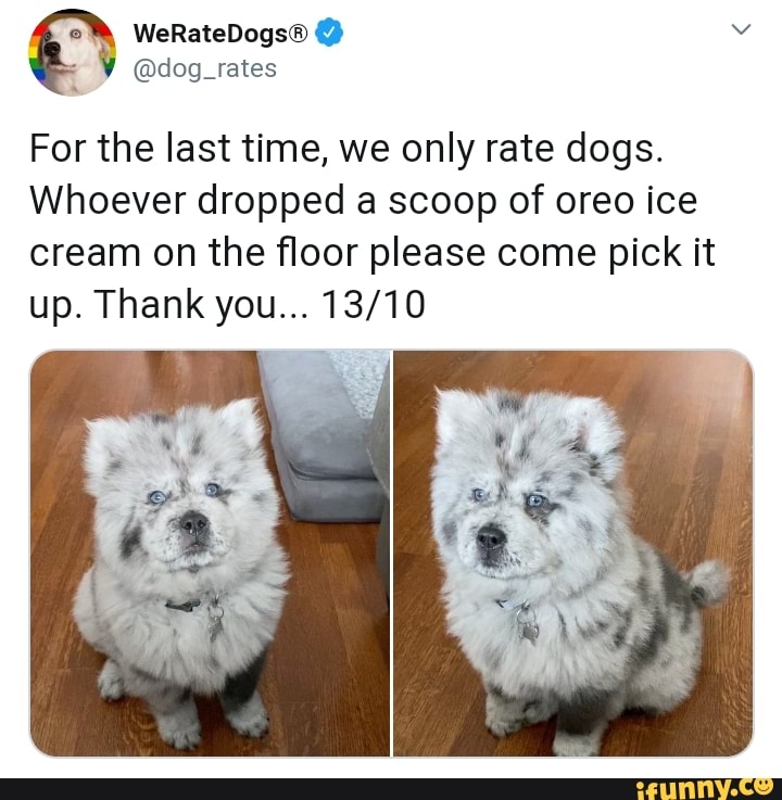 For the last time, we only rate dogs.
Whoever dropped a scoop of oreo ice cream on the floor please come pick it up. Thank you...