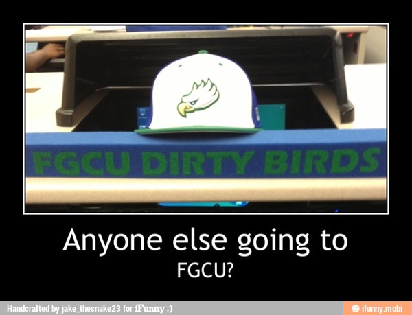 Anyone else going to - Anyone else going to
FGCU?