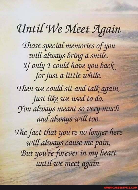 Until We Meet Again Those special memories of you will always bring a ...