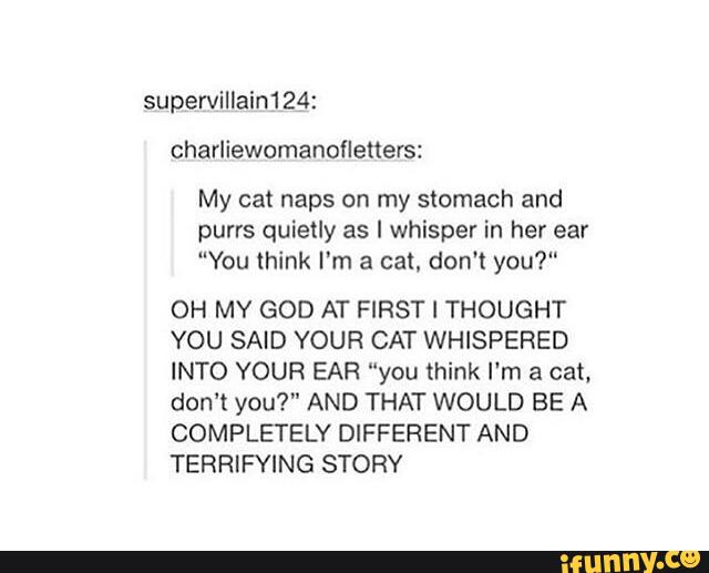 supervillain124:
charliewomanoíleners:
My cat naps on my stomach and
purrs quietly as I whisper in her ear
"You mink I'm a cat. don't you?“
OH MY GOD AT FIRST I THOUGHT
YOU SAID YOUR CAT WHISPERED
INTO YOUR EAR “you think I'm a cat,
don't you?" AND THAT WOULD BE A
COMPLETELY DIFFERENT AND
TERRIFYING STORY