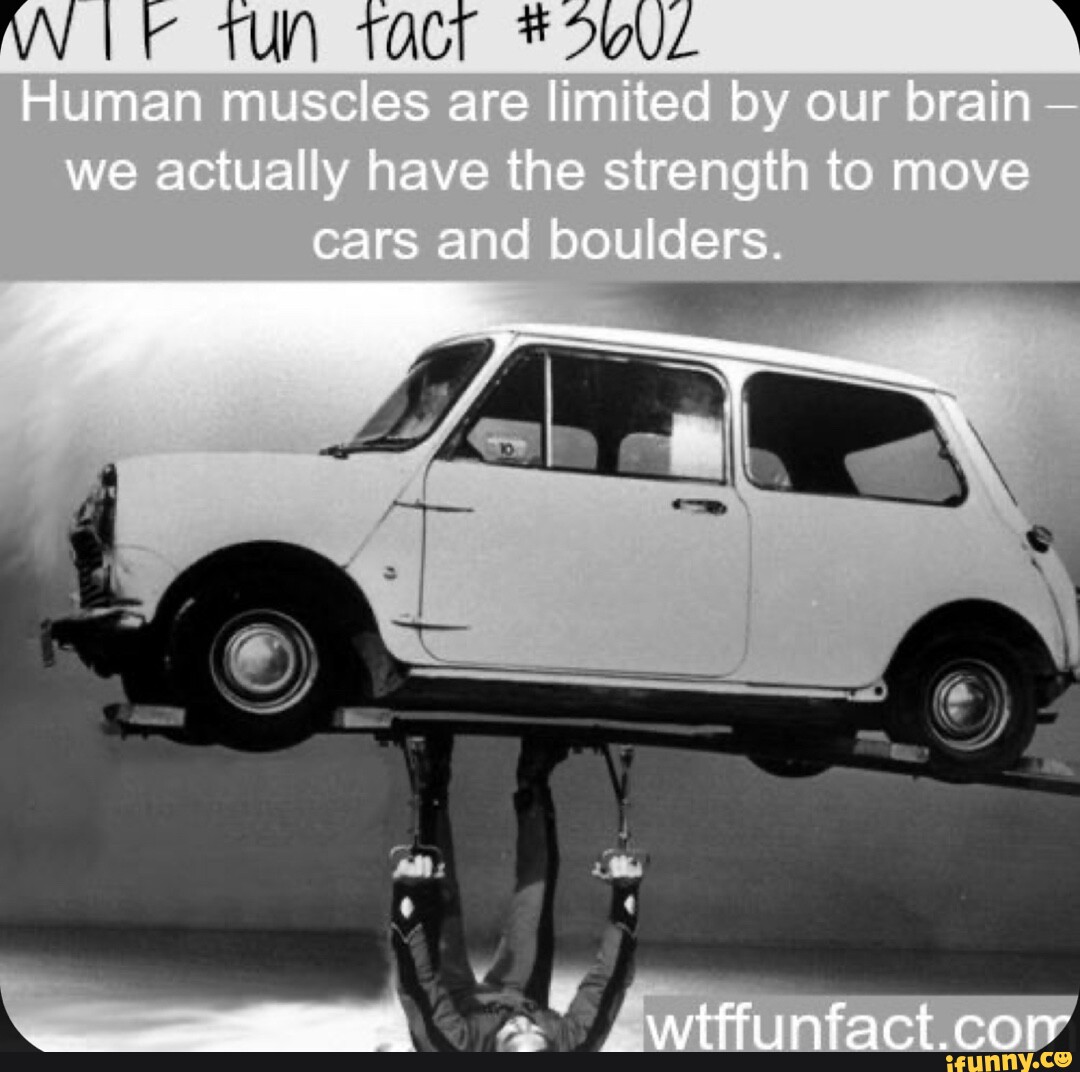 TUN Human muscles are limited by our brain we actually have the