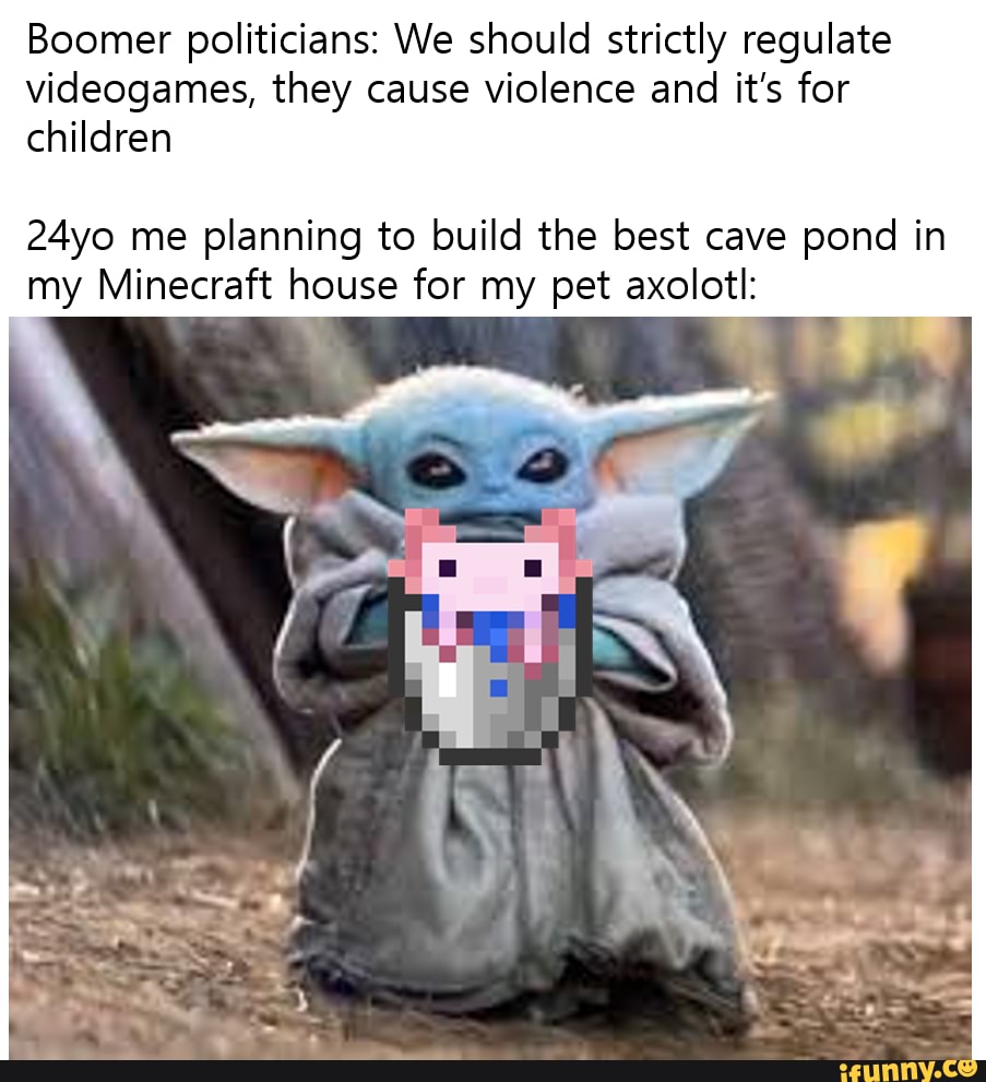 Boomer Politicians We Should Strictly Regulate Videogames They Cause Violence And It S For Children 24yo Me Planning To Build The Best Cave Pond In My Minecraft House For My Pet Axolotl
