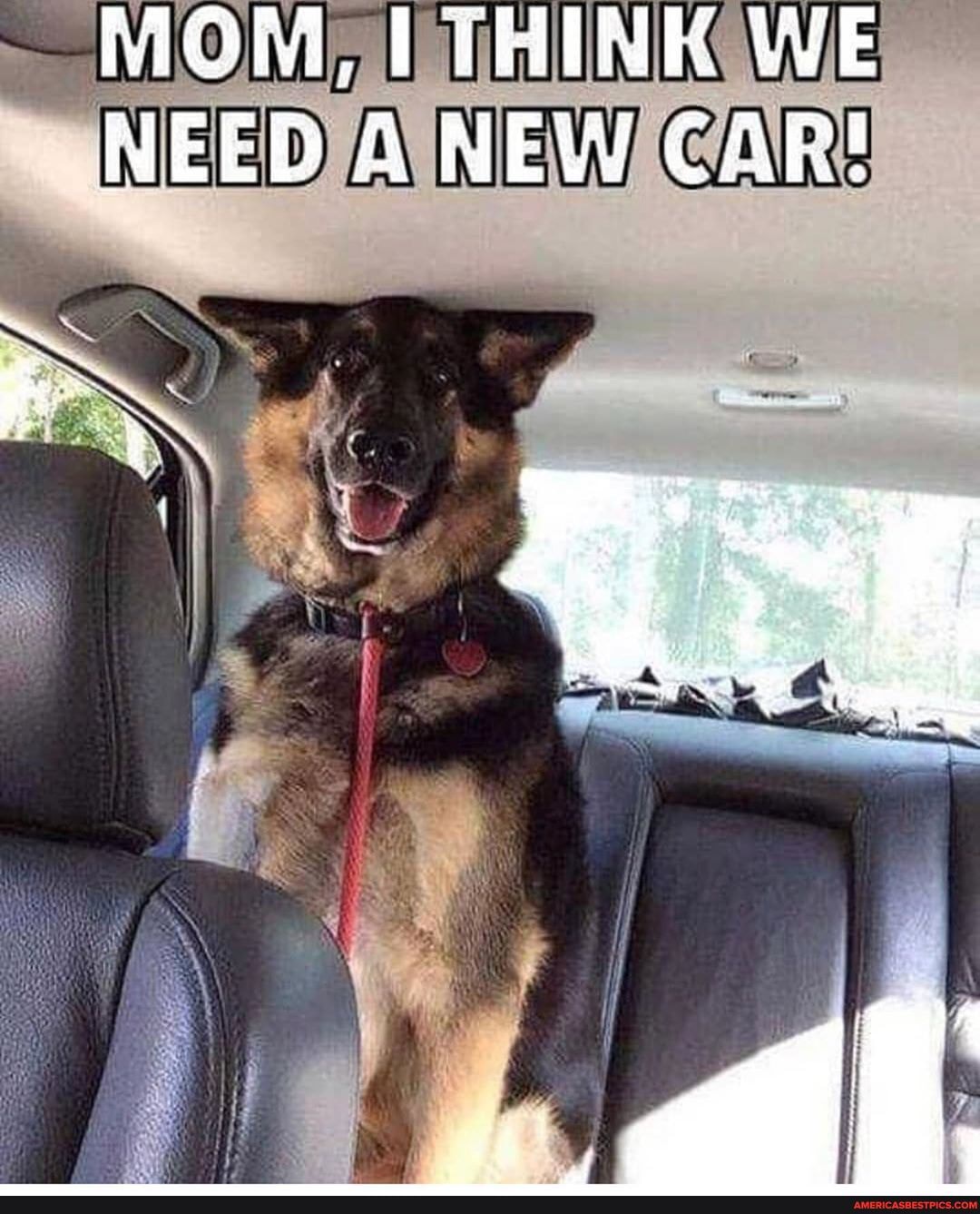 MOM, THINK WE NEED ANEW CAR!