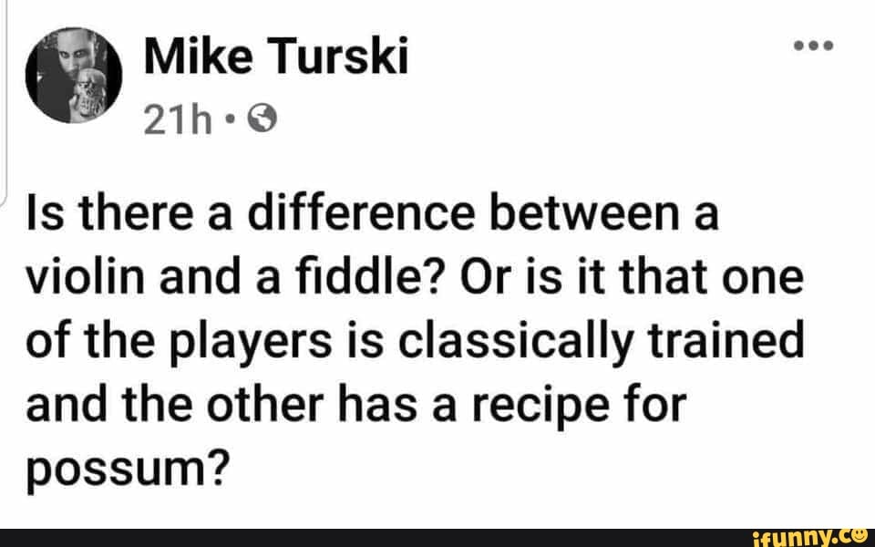 Is there a difference between a
violin and a fiddle? Or is it that one
of the players is classically trained
and the other has a recipe for
possum?
