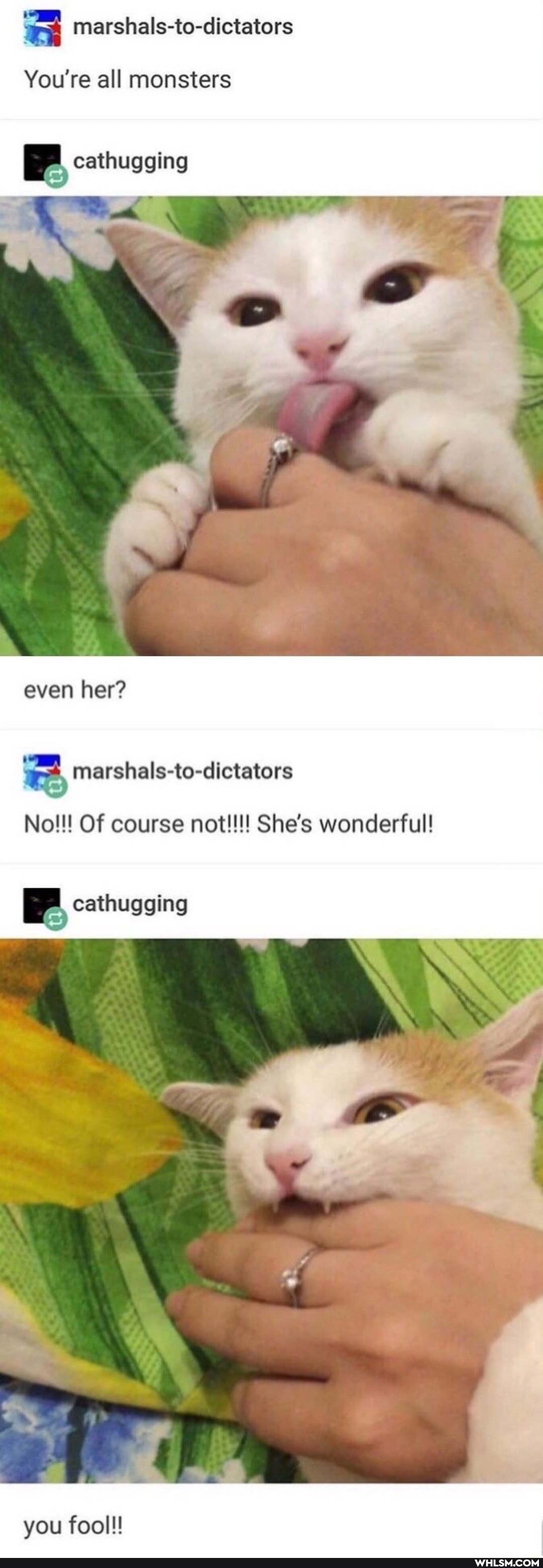 You're all monsters
cathugging
even her?
marshals-to-dictators
No!!! Of course not!!! She's wonderful!
cathugging
you fool!