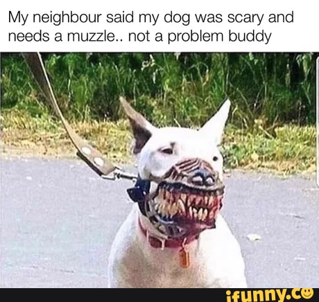 My neighbour said my dog was scary and
needs a muzzle.. not a problem buddy