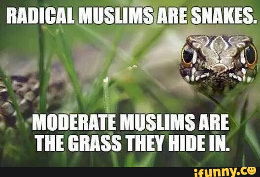 RADICAL MUSLIMS /ARE SNAKES. MODERATE MUSLIMS ARE THE GRASS THEY HIDE ...