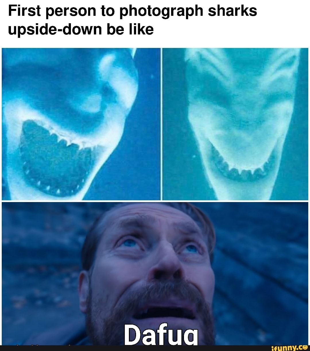 First person to photograph sharks upsidedown be like Dafua iFunny