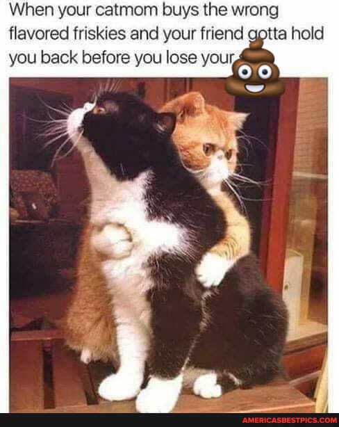 When your catmom buys the wrong flavored friskies and your friend gotta hold
