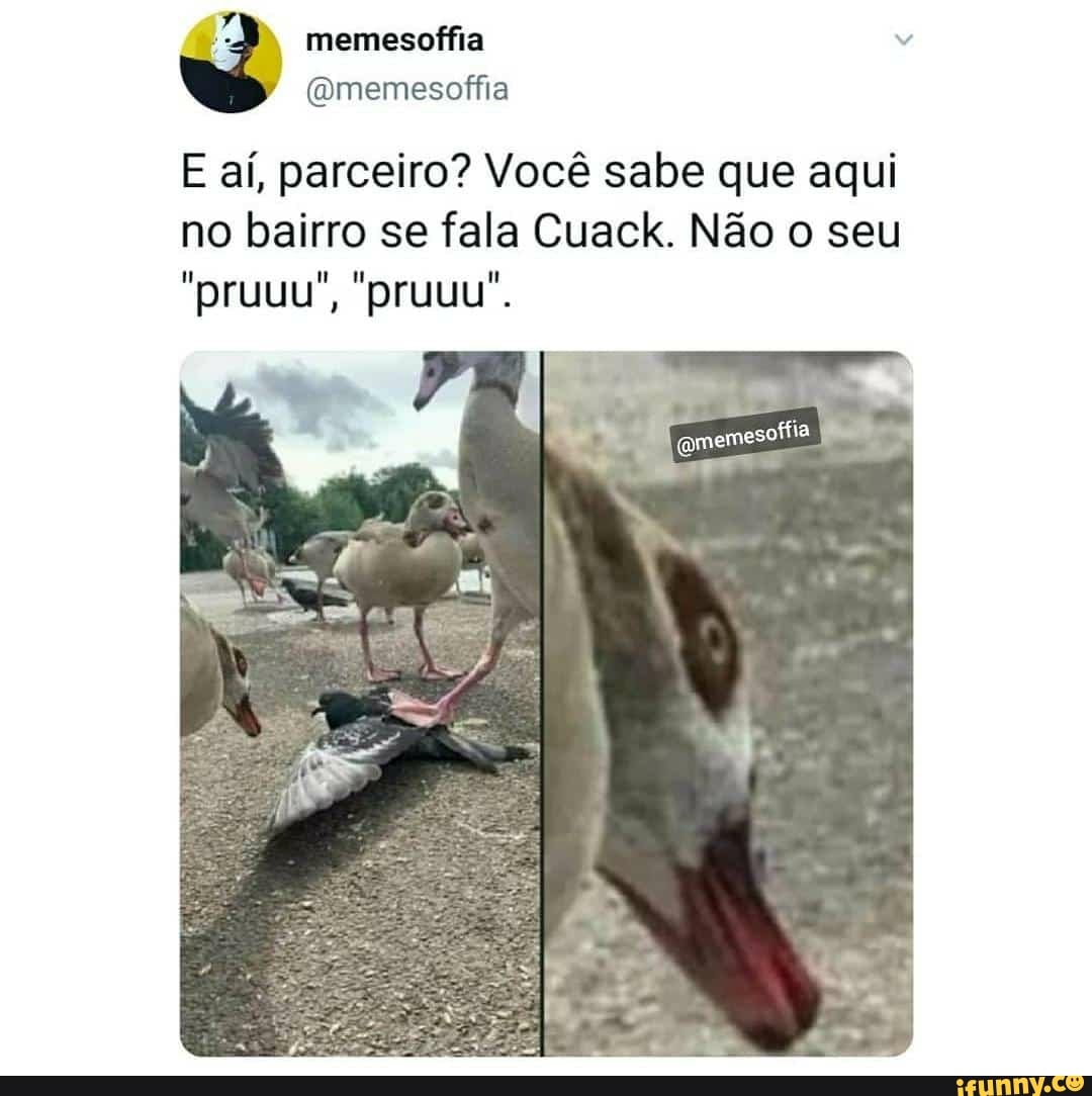 memesoffia
(OQmemesoffia
E aí, parceiro? Você sabe que aqui no bairro se fala Cuack. Não o seu
"pruuu", "pruuu".