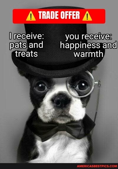 TRADE OFFER
receive: you receive: pats and happiness and treats warmth