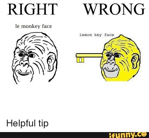 Le monkey face - best meme of le decade winner