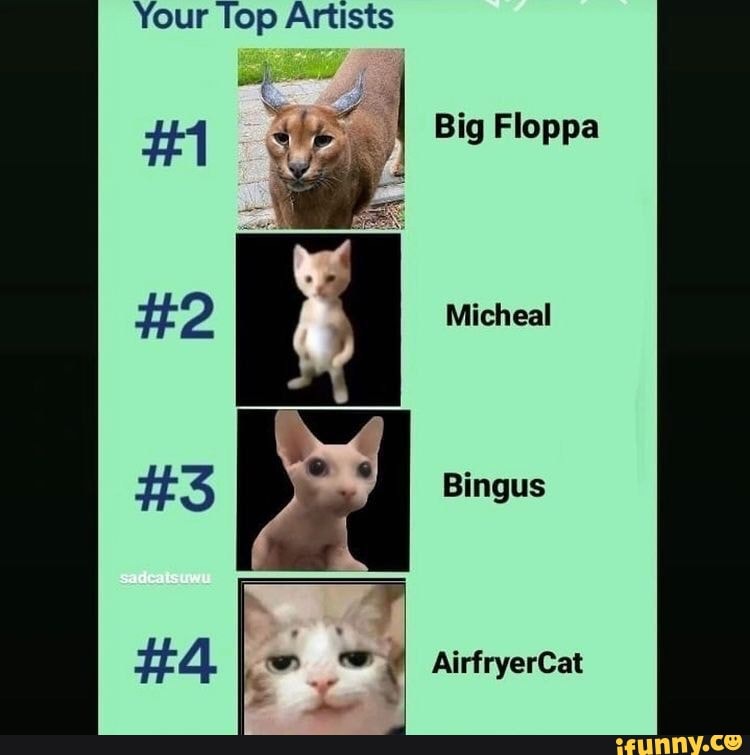 Новый коллектив. Your top. Your top. Премиальный бизнес. Priorities.