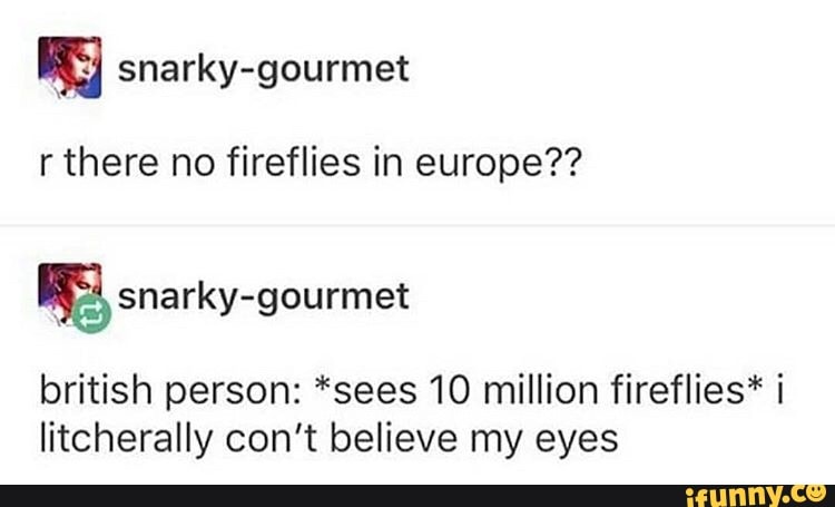 RR snarky-gourmet
r there no fireflies in europe??
british person: *sees 10 million fireflies* i
litcherally con't believe my eyes