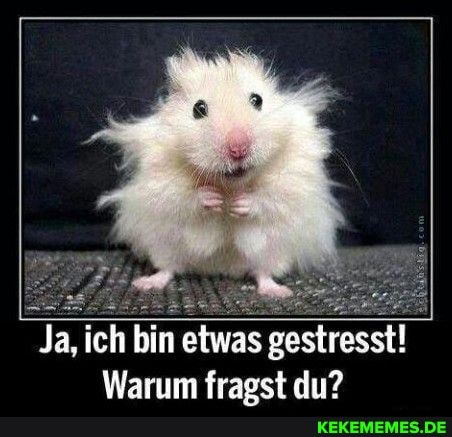 Ja, ich bin etwas gestresst!
Warum fraost du?