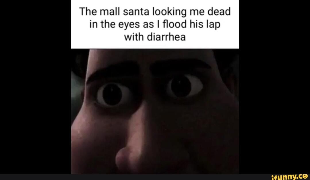 The mall santa looking me dead in the eyes as I flood his lap with ...