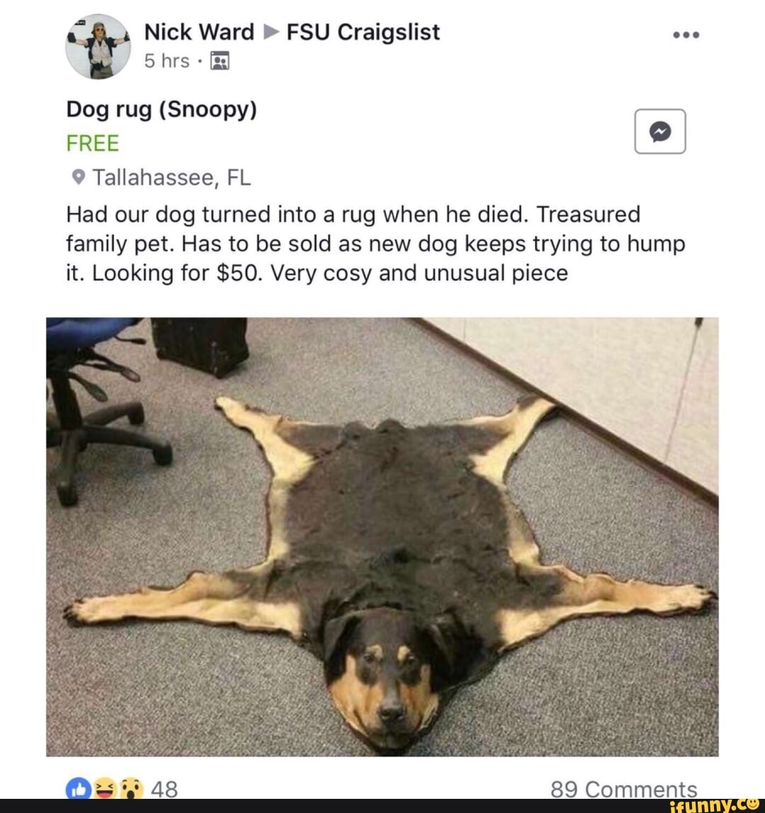 15+ Dog Memes Rug Factory Memes