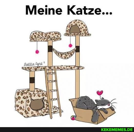 Meine Katze...