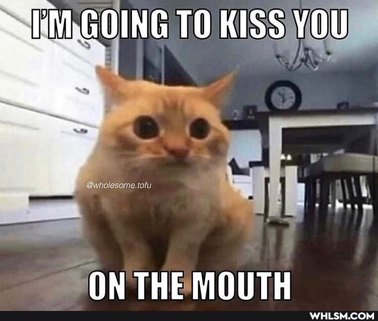 M.GOING TO KISS YOU
ON THE NOUTH