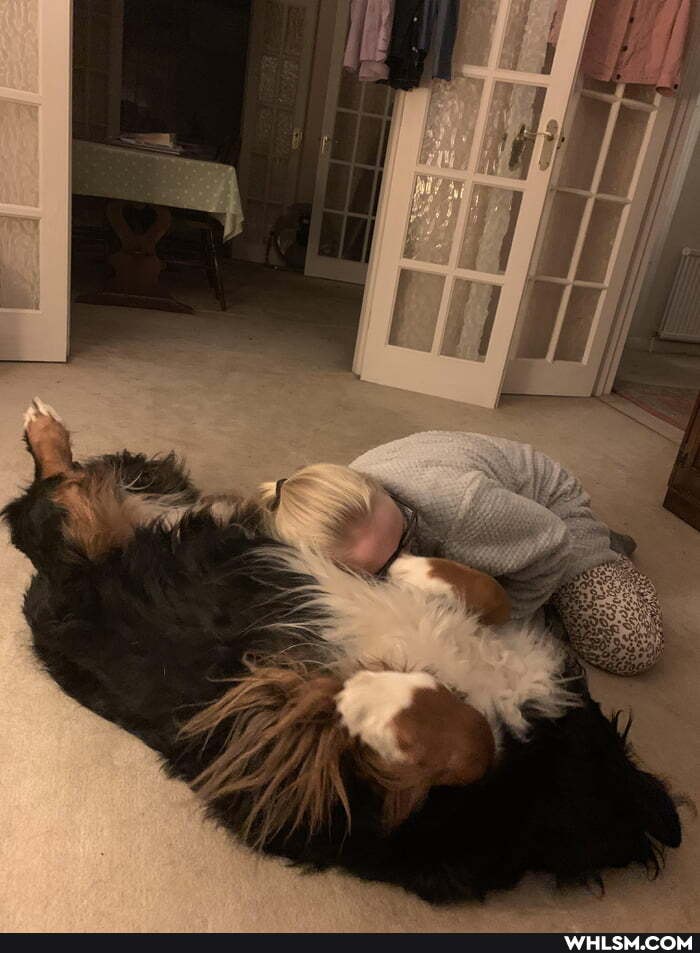 best, pillow, feeling, poorly