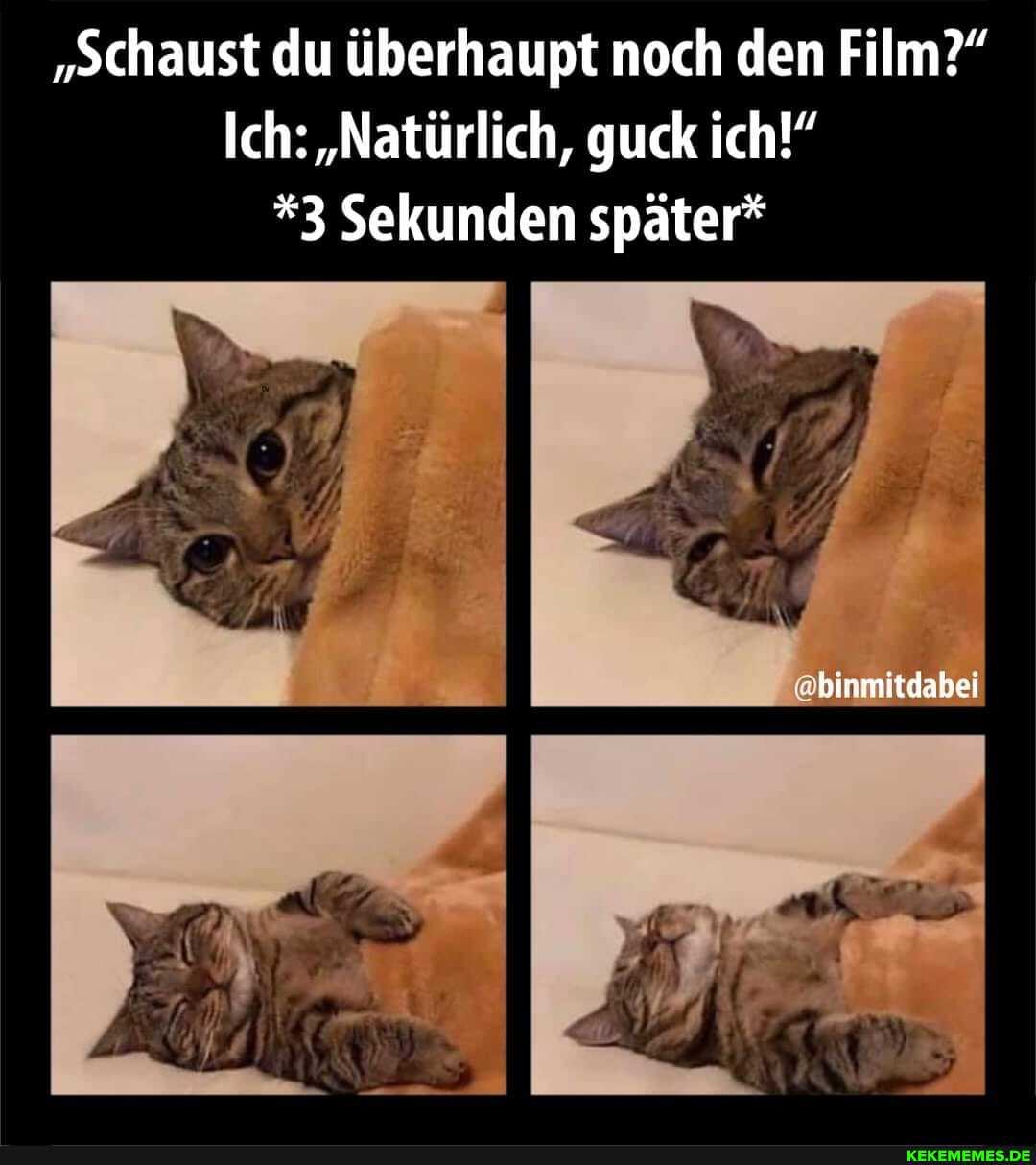 "Schaust du überhaupt noch den Film?"
Ich: "Natürlich, guck ich!"
*3 Sekunden später*
II abinnitdabei